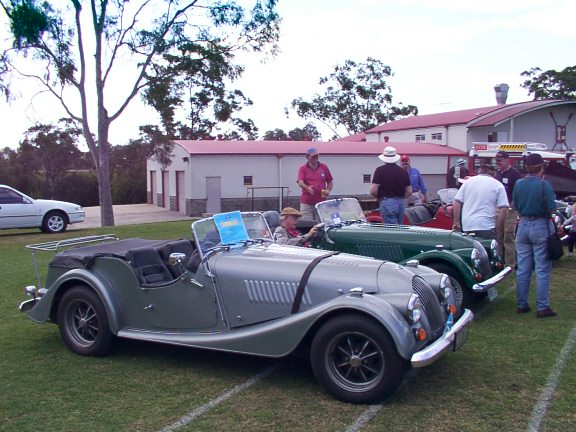 Some beautiful morgans