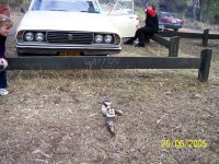 Cooby Dam  Toowoomba